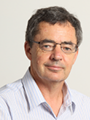 Professor David Brereton Headshot 